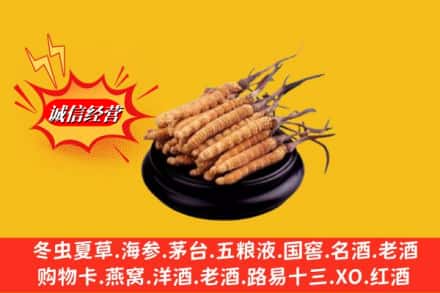 百色西林县名酒回收冬虫夏草.jpg
